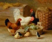 unknow artist, Cocks 106